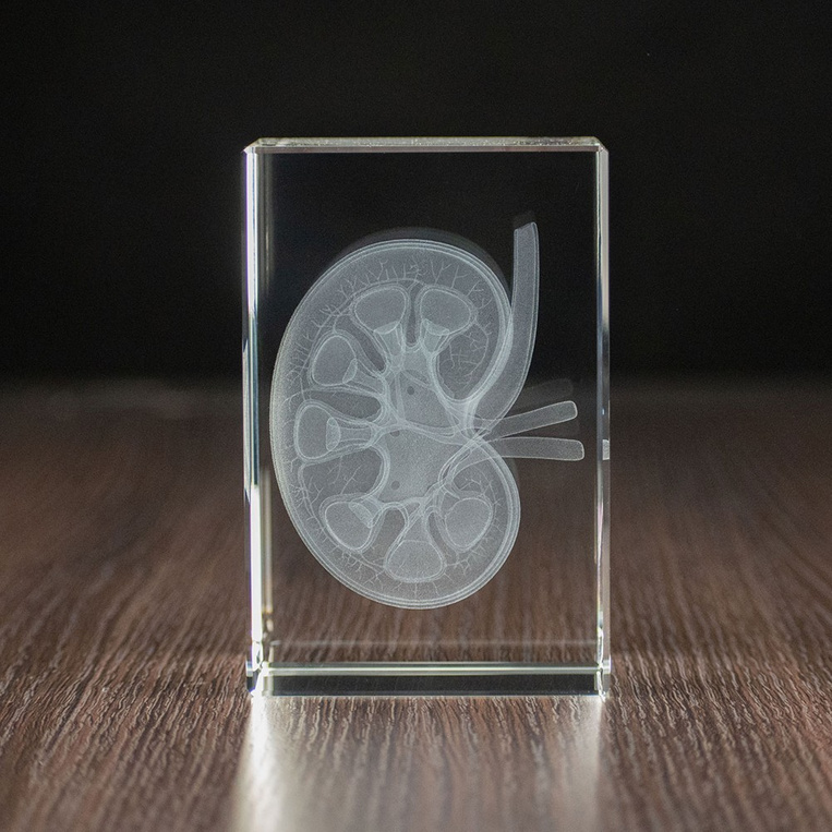 STATUETKA 3D - Nerka 3D w szklanej bryle MEDYCZNY PREZENT