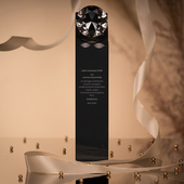 Statuetka LIDER INNOWACJI – statuetka konkursowa z DIAMENTEM