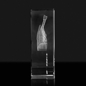 Statuetka Medyczna - Płuca 3D - Podziękowania dla Lekarza, Przychodni