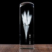 Kłosy - Nagroda, Wyróżnienie dla osoby i firmy w Branży Rolnej Dożynki