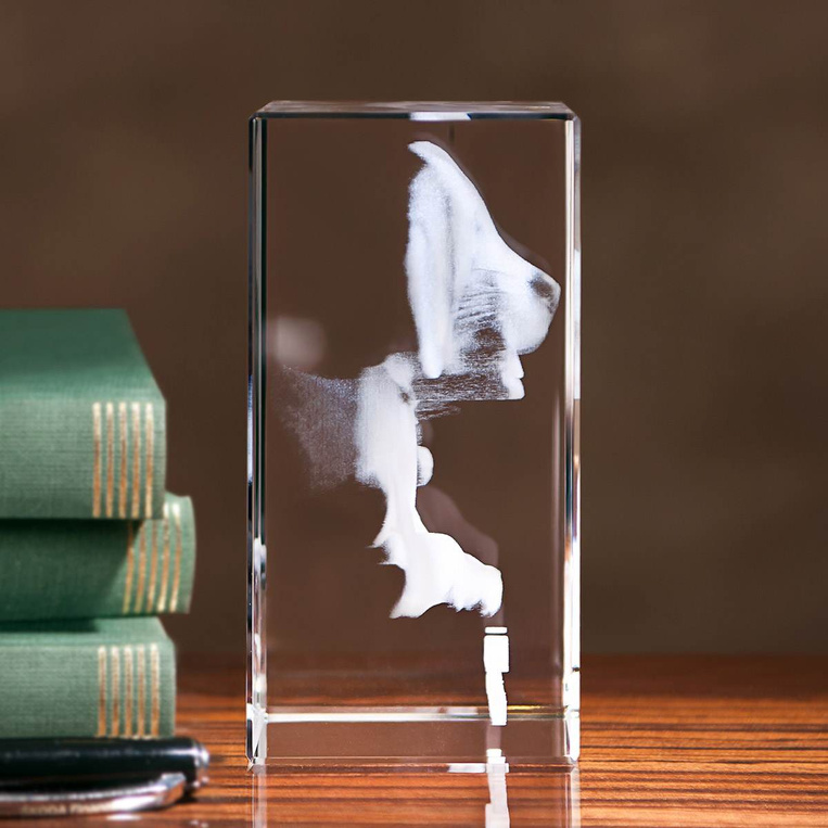 Zdjęcie 3D pieska w krysztale z podstawką LED – fotolampka 3D