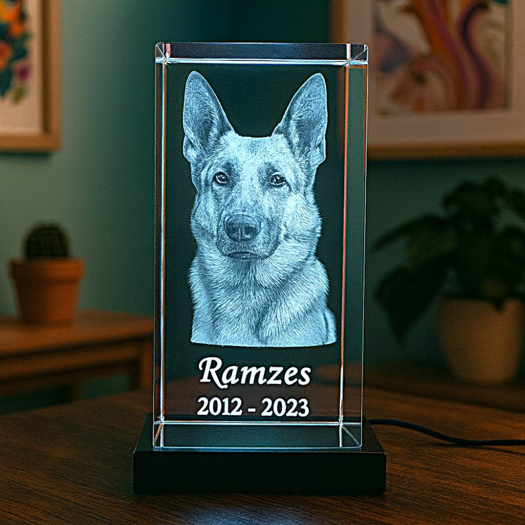 Kryształowa statuetka 3D z portretem pupila – zestaw z podświetleniem LED