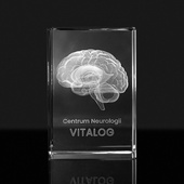 Mózg w trójwymiarze - Grawer w szkle STATUETKA MEDYCZNA
