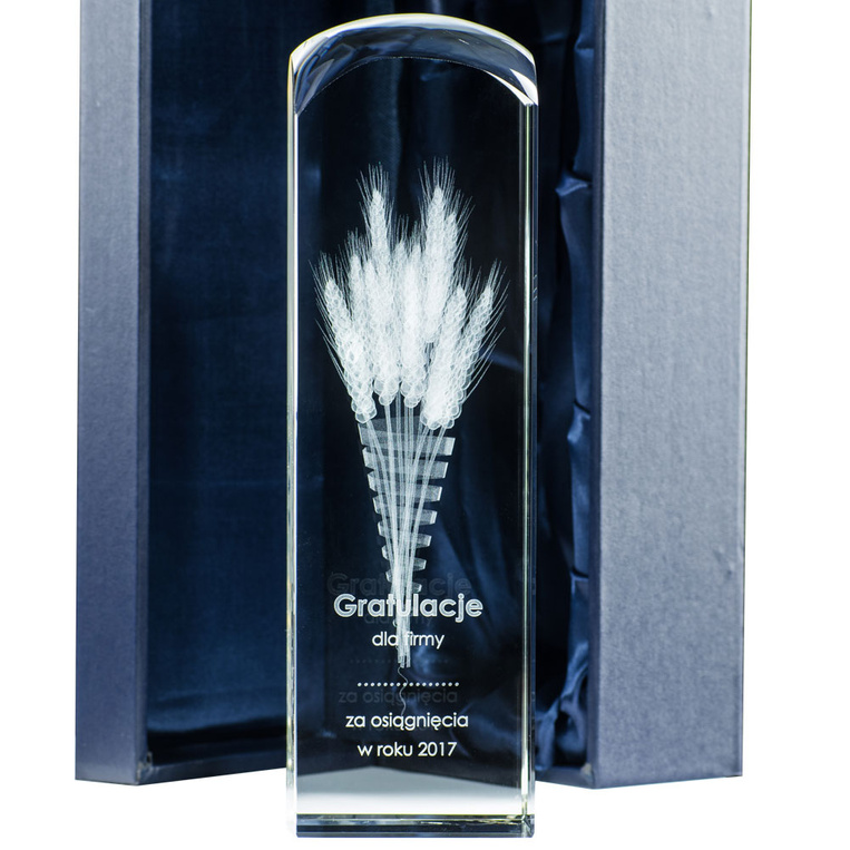 Kłosy - Nagroda, Wyróżnienie dla osoby i firmy w Branży Rolnej Dożynki