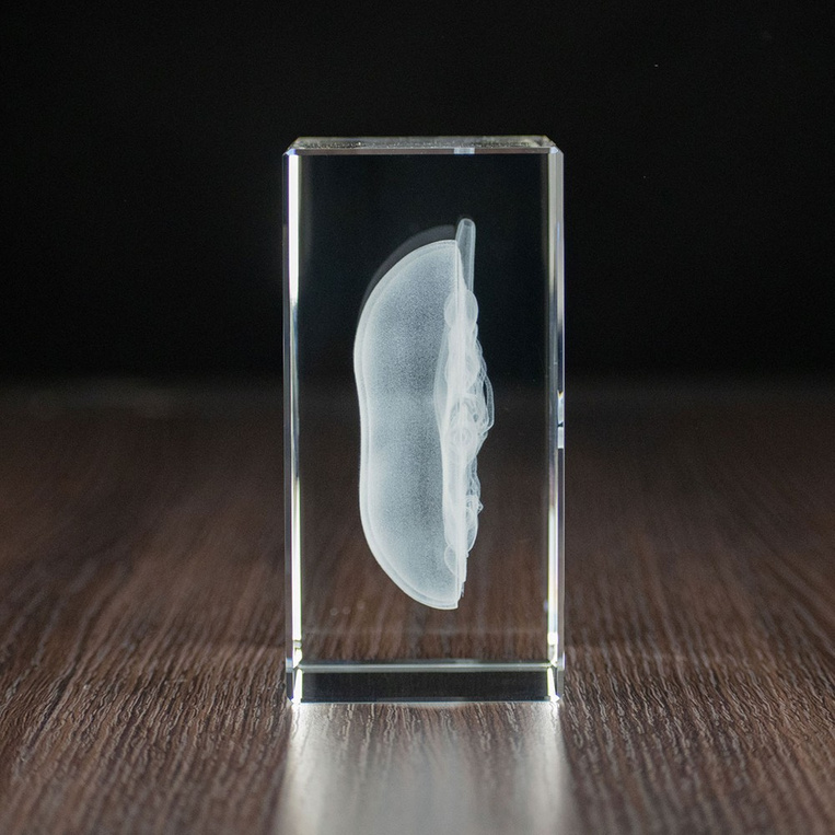 STATUETKA 3D - Nerka 3D w szklanej bryle MEDYCZNY PREZENT