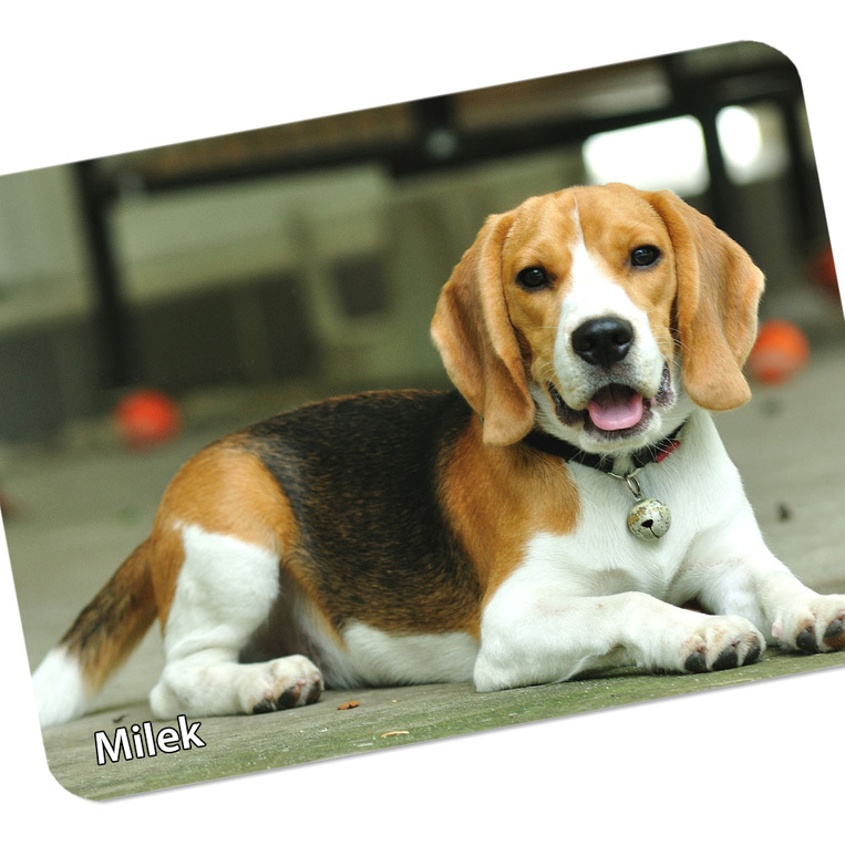 Duża podkładka pod mysz ze zdjęciem TWOJEGO ZWIERZAKA