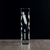 Statuetka Dla Pracownika Medycznego Pielęgniarki - grawer strzykawki i dedykacja