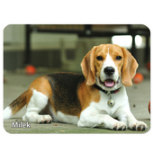 Duża podkładka pod mysz ze zdjęciem TWOJEGO ZWIERZAKA