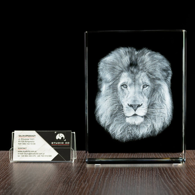 Trójwymiarowe zdjęcie Lwa - duża Statuetka Firmowa Prezent dla Myśliwego