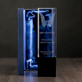 Statuetka dla Lidera Przedsiębiorczości Innowacyjności - Skrzydła 3D