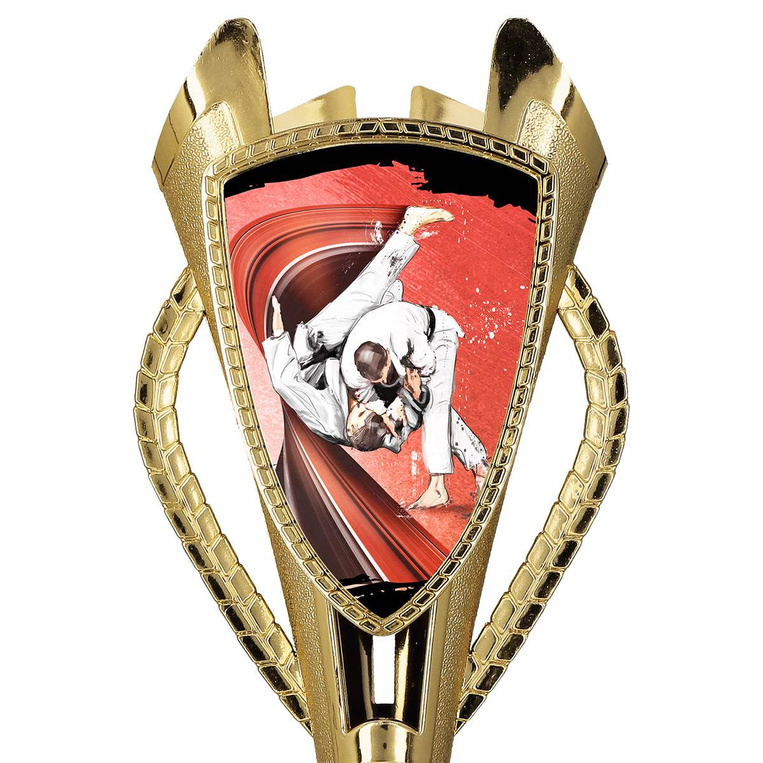 Puchar złoty A - Judo