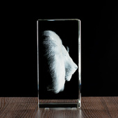 Trójwymiarowe zdjęcie Lwa - duża Statuetka Firmowa Prezent dla Myśliwego