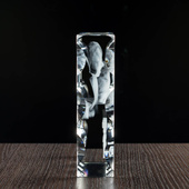 Statuetka 3D z Twoim zdjęciem – fotokryształ LED na rocznicę ślubu