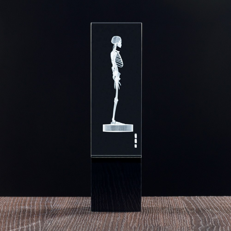 SZKIELET 3D grawer w statuetce Twoja dedykacja Upominek Dla Współpracownika