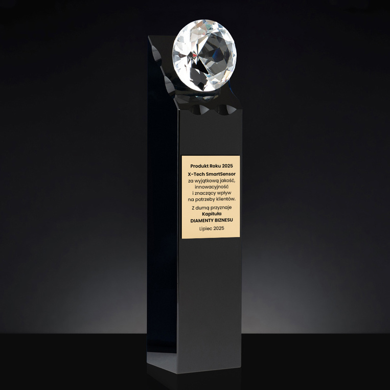 Statuetka Wyróżnienie PRODUKT ROKU – z diamentem i złotą tabliczką