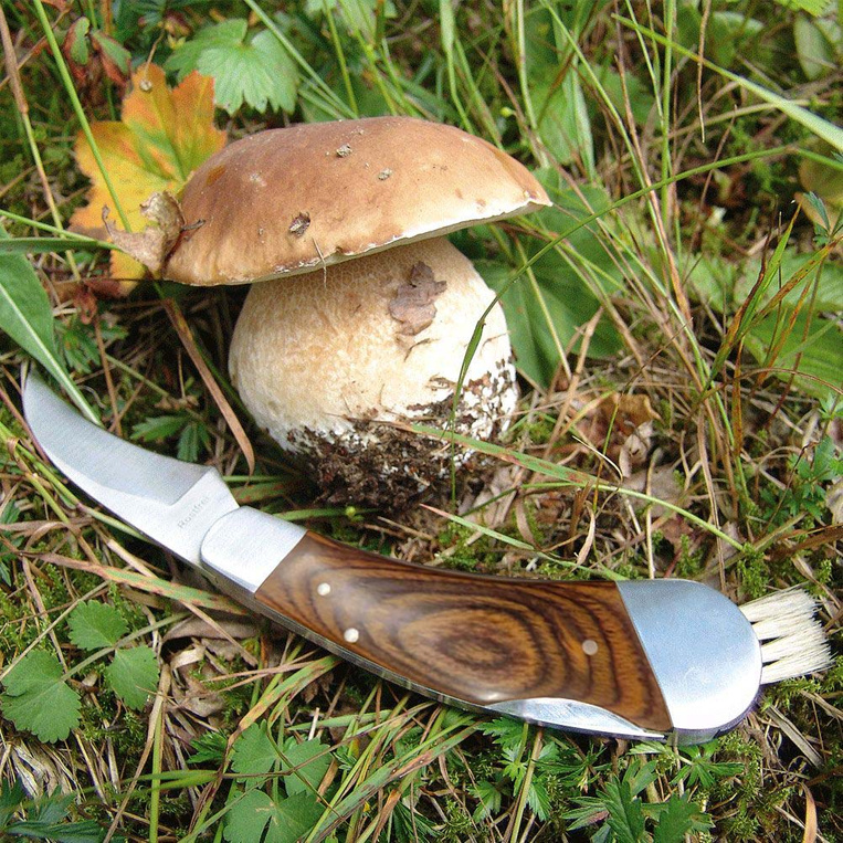 Nóż do grzybów Schwarzwolf - PREZENT DLA DZIADKA GRZYBIARZA