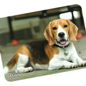 Duża podkładka pod mysz ze zdjęciem TWOJEGO ZWIERZAKA