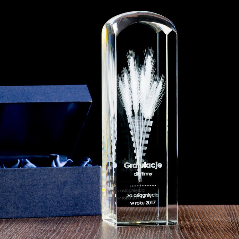 Kłosy - Nagroda, Wyróżnienie dla osoby i firmy w Branży Rolnej Dożynki