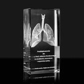 Statuetka Medyczna - Płuca 3D - Podziękowania dla Lekarza, Przychodni