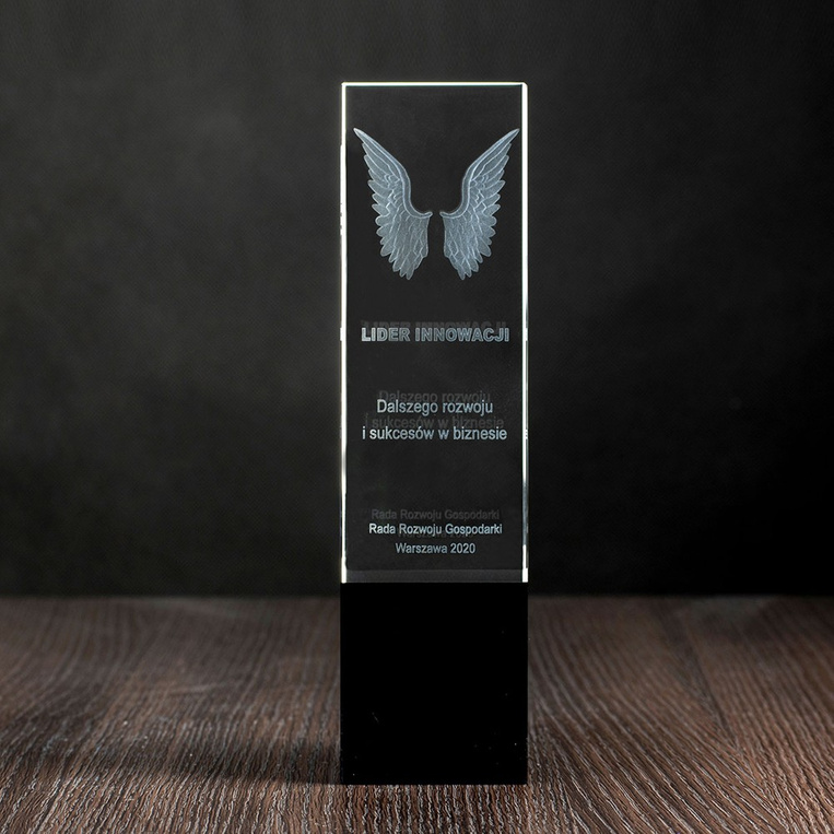 Statuetka dla Lidera Przedsiębiorczości Innowacyjności - Skrzydła 3D