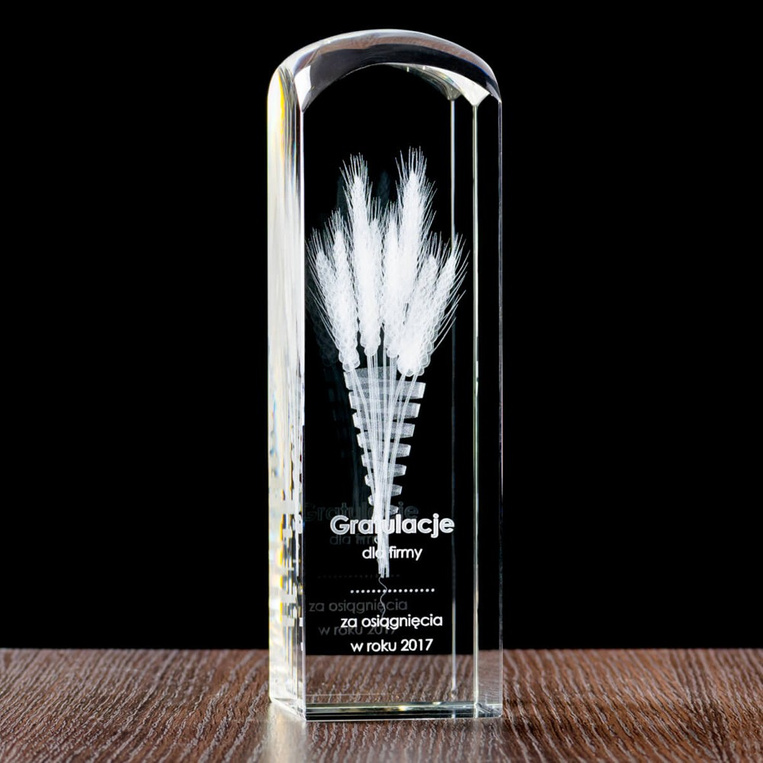 Kłosy - Nagroda, Wyróżnienie dla osoby i firmy w Branży Rolnej Dożynki