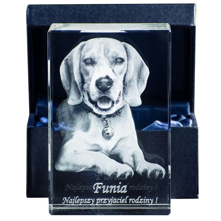 Zdjęcie Twojego pieska w trójwymiarze - grawer w statuetce szklanej