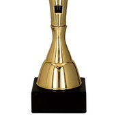 Puchar złoty D - Muzyka