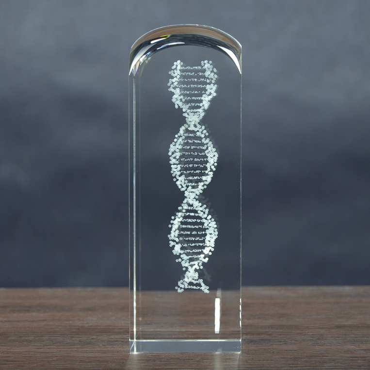 Łańcuch DNA grawer w szkle - Statuetka na Prezent Dla Biologa Genetyka