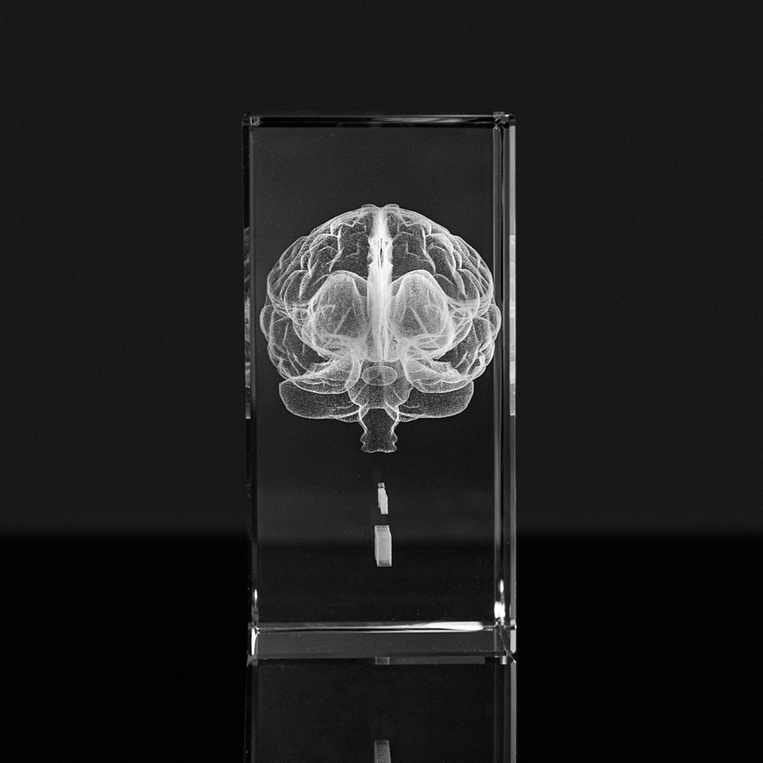 Statuetka szklana 3D Mózg z grawerem i podstawką LED – prezent dla lekarza lub neurologa