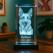 Kryształowa statuetka 3D z portretem pupila – zestaw z podświetleniem LED