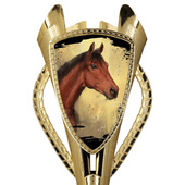 Puchar złoty A - Jeździectwo