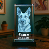 Kryształowa statuetka 3D z portretem pupila – zestaw z podświetleniem LED