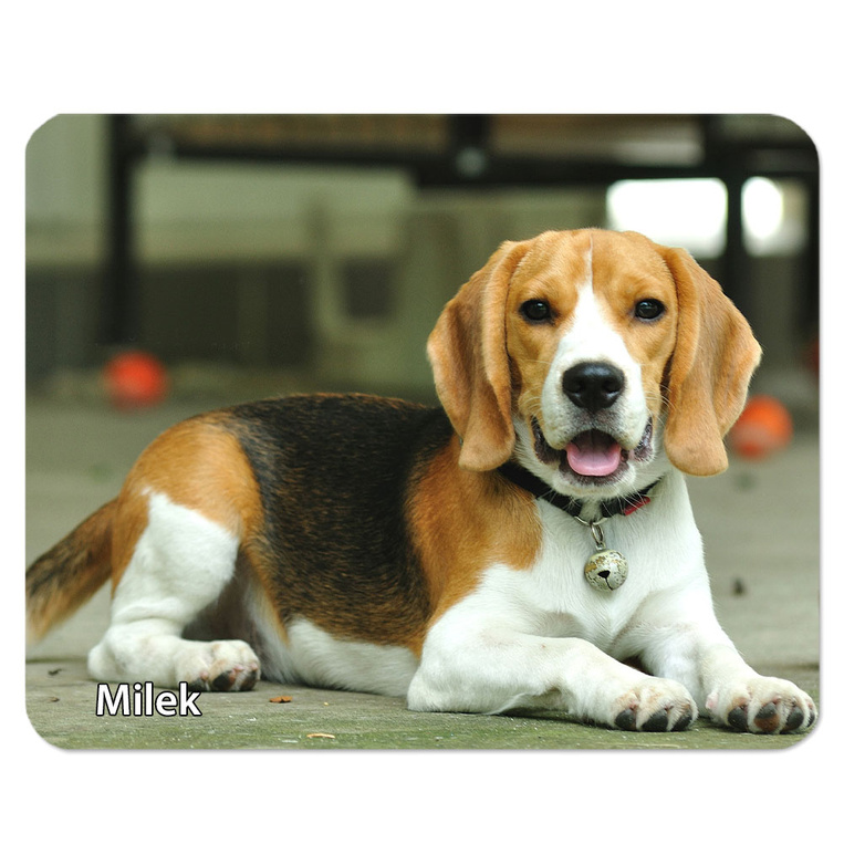 Podkładka pod mysz 22x18 cm ze zdjęciem TWOJEGO PUPILA