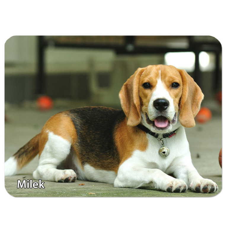 Duża podkładka pod mysz ze zdjęciem TWOJEGO ZWIERZAKA