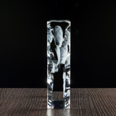 Fotokryształ 3D - Ślubne Podziękowania Dla Rodziców