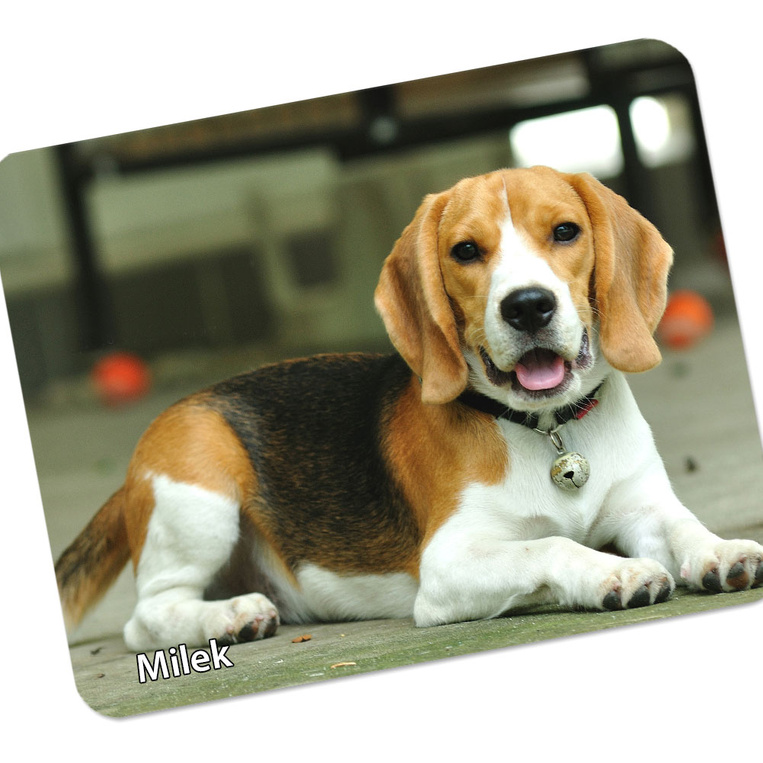 Podkładka pod mysz 22x18 cm ze zdjęciem TWOJEGO PUPILA