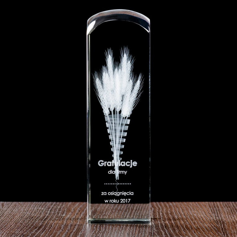 Kłosy - Nagroda, Wyróżnienie dla osoby i firmy w Branży Rolnej Dożynki