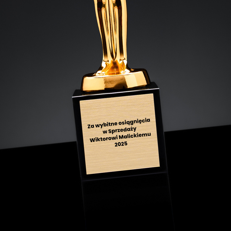 Statuetka Oscara za wybitne osiągnięcia w SPRZEDAŻY – nagroda firmowa