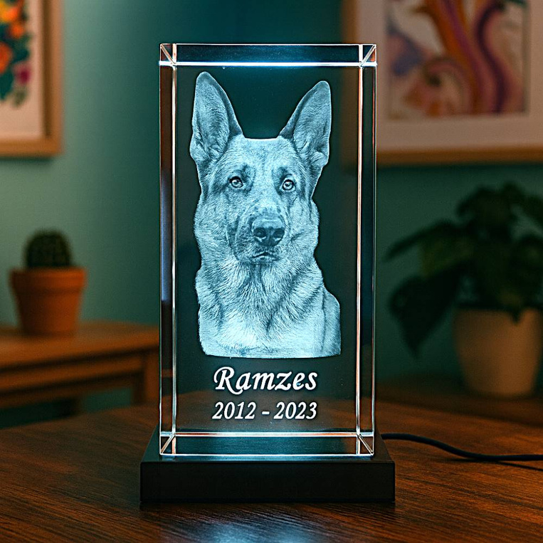 Kryształowa statuetka 3D z portretem pupila – zestaw z podświetleniem LED
