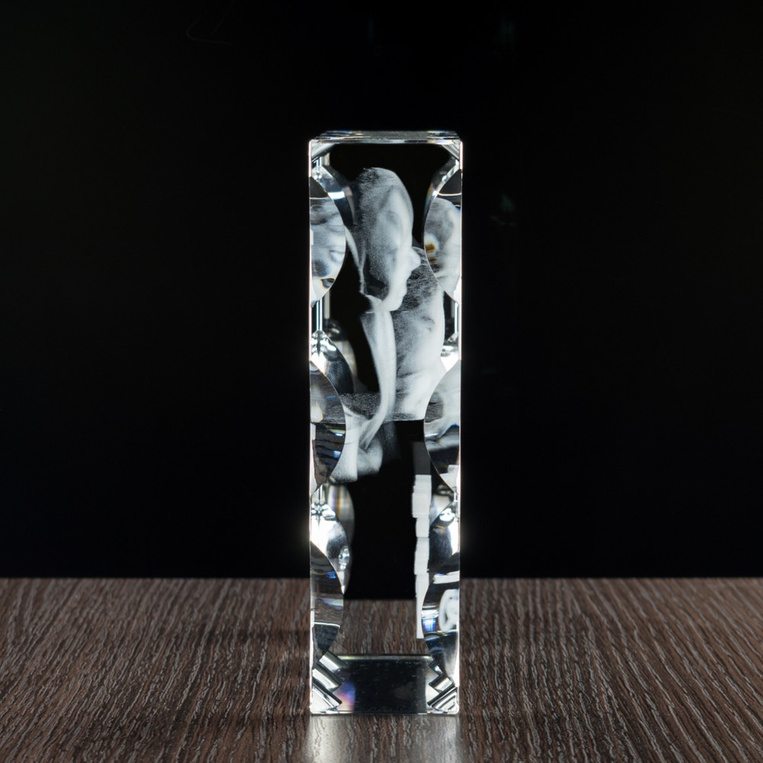 Fotokryształ 3D - Ślubne Podziękowania Dla Rodziców