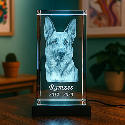 Kryształowa statuetka 3D z portretem pupila – zestaw z podświetleniem LED