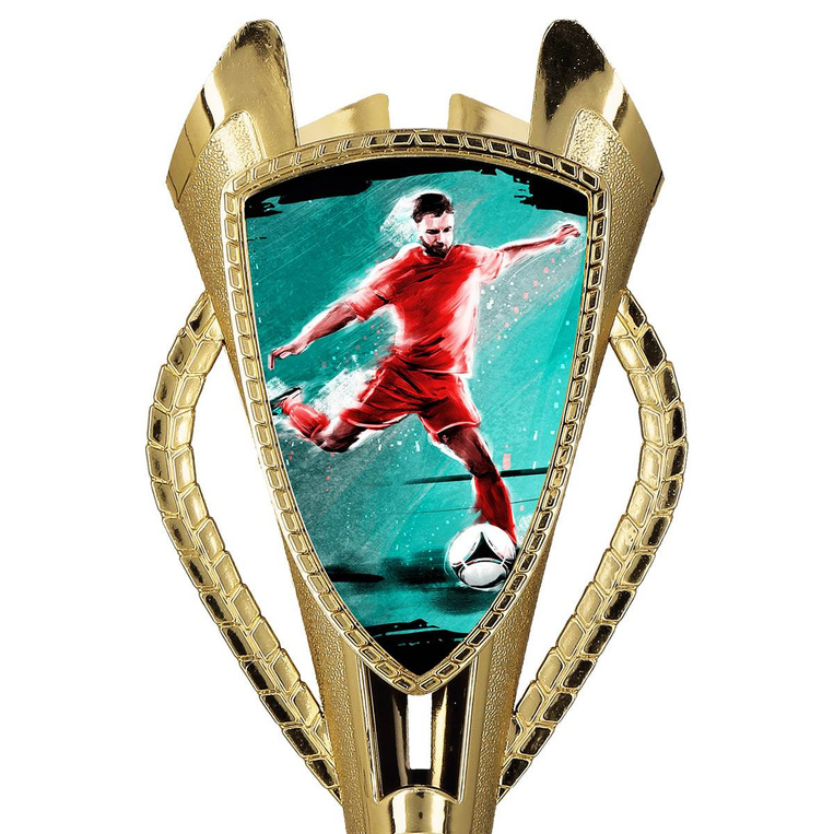 Puchar złoty D - Piłka nożna - napastnik strzelec