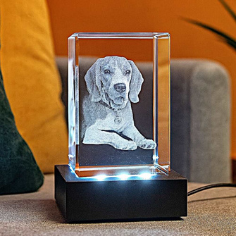 Kryształowa fotolampka 3D mała z pupilem – pamiątka po psie lub kocie z podstawką LED