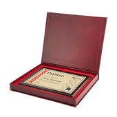 Dyplom najlepszego handlowca, marketingowca – wyróżnienie na podsumowanie roku