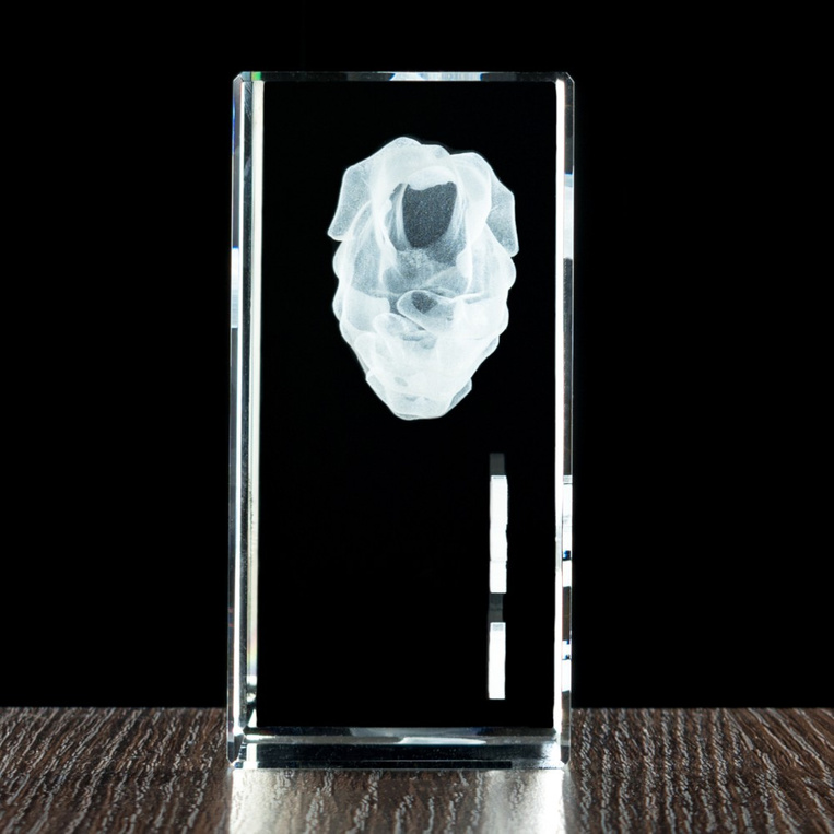 Biznesowa Statuetka 3D Podziękowania za współpracę Logo firmowe Grawer