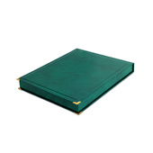 ETUI SAMETI Zielone 8x10 Pion