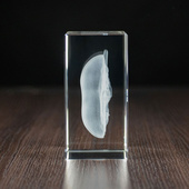 STATUETKA 3D - Nerka 3D w szklanej bryle MEDYCZNY PREZENT