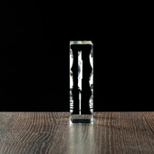 Podziękowania za służbę w Policji - odznaka 3D i dedykacja grawer w szkle