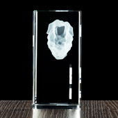 Biznesowa Statuetka 3D Podziękowania za współpracę Logo firmowe Grawer