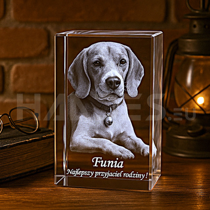 Zdjęcie Twojego pieska - grawer 3D w szkle KP-03 (80x120x80 mm)